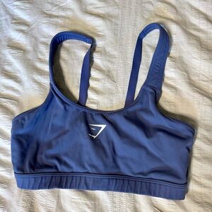 Blue/Purple Sports Bra
